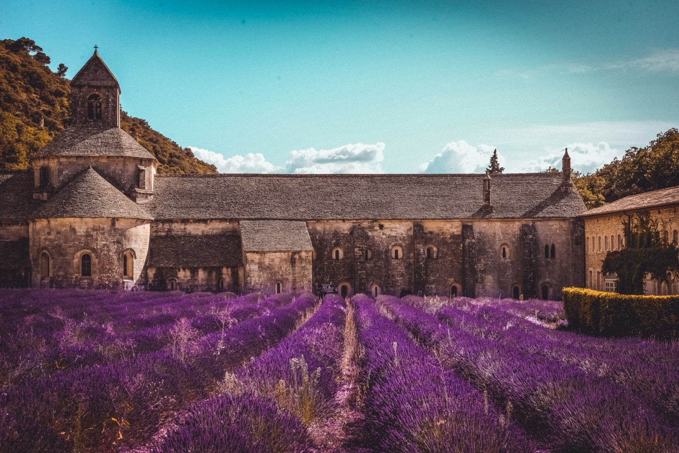 Provence Fragrance - Maison Termé Harrogate